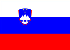 ˹ǹ